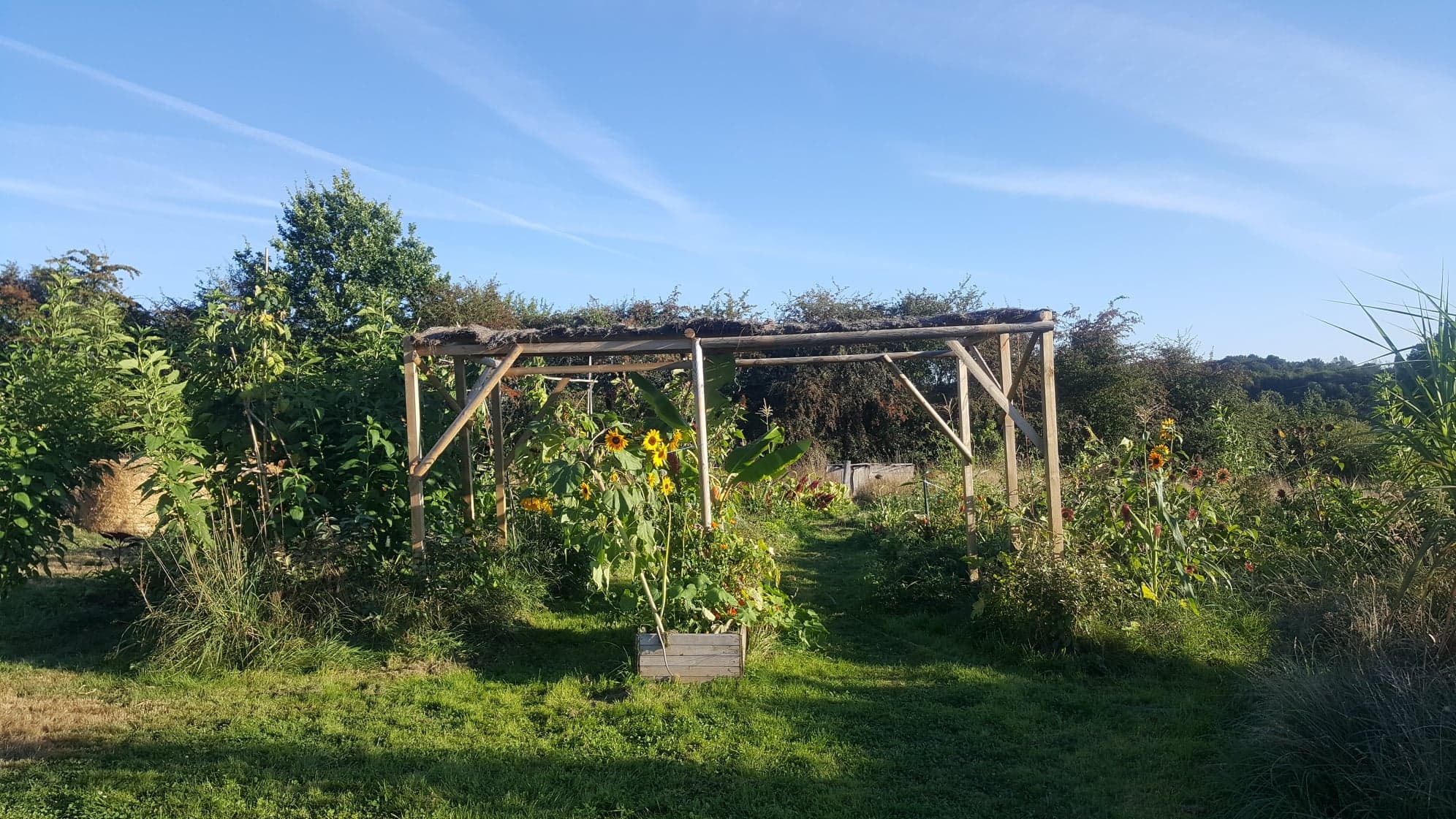 Formation en permaculture et avancées